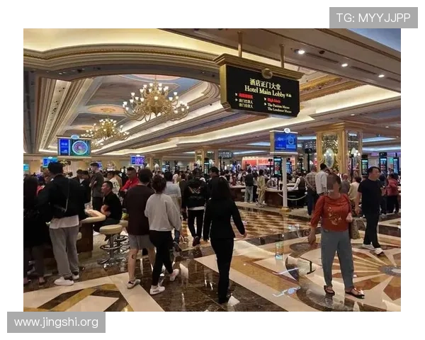 澳门新葡京开户优惠活动最新资讯全面解析