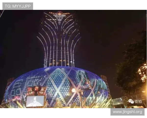 澳门新葡京网站入口2024年最新版本，详细介绍安全登录流程与常见问题解决方案